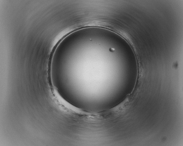 X0000111801138200907301203