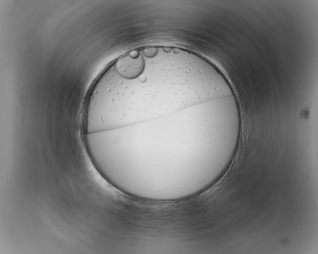 X0000111801139200907301203