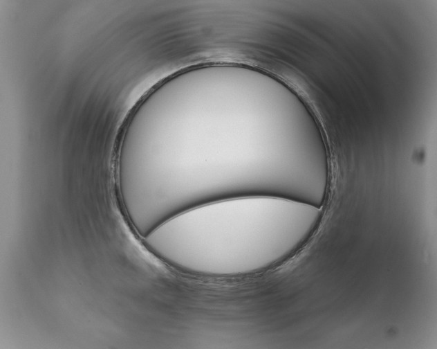 X0000111801141200907301203