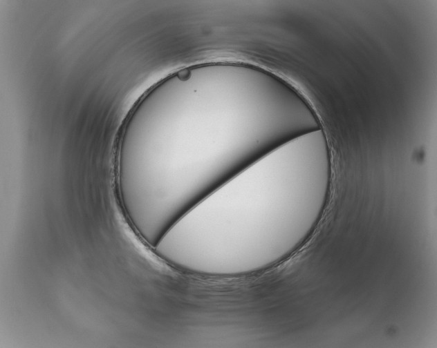 X0000111801142200907301203