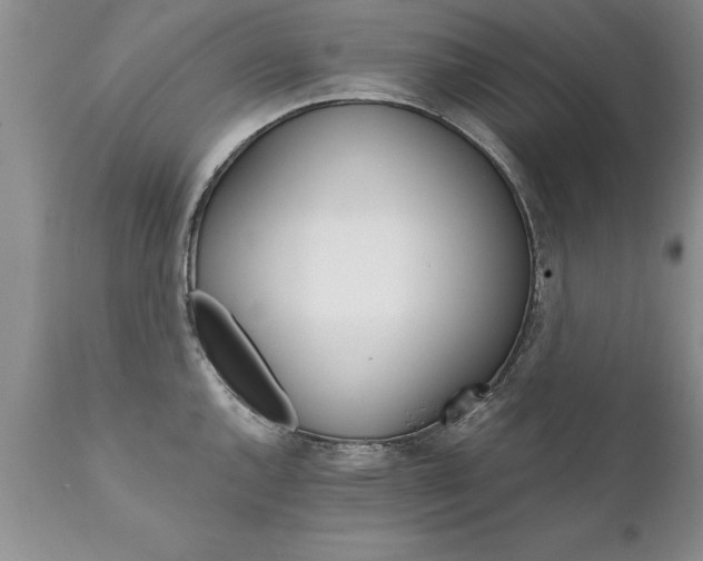 X0000111801144200907301203