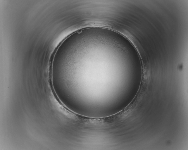 X0000111801147200907301203