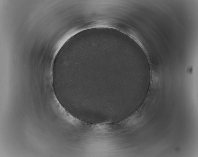 X0000111801148200907301203