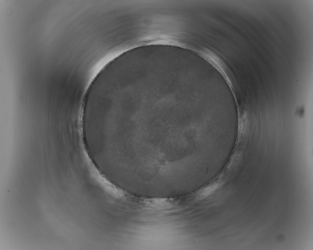 X0000111801149200907301203