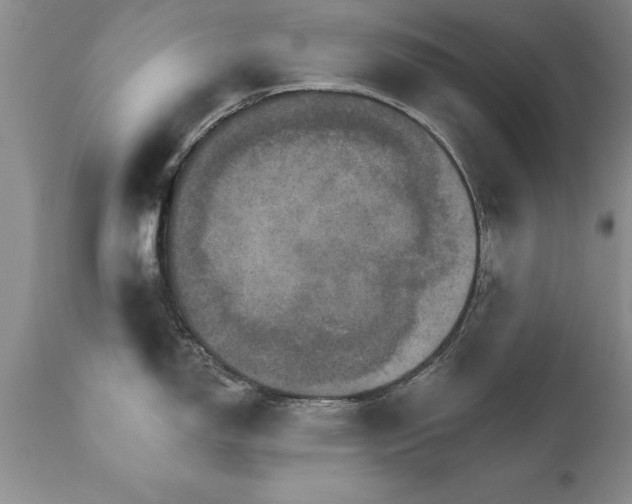 X0000111801150200907301203