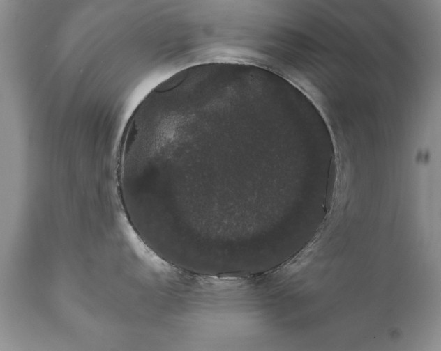 X0000111801152200907301203