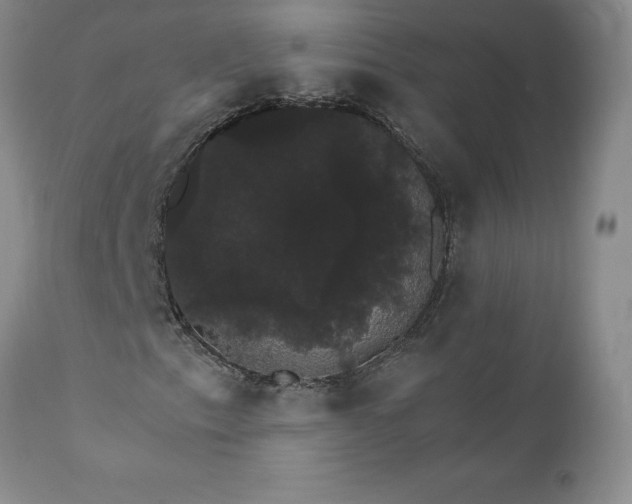 X0000111801153200907301202