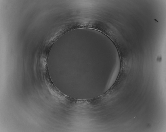 X0000111801154200907301202