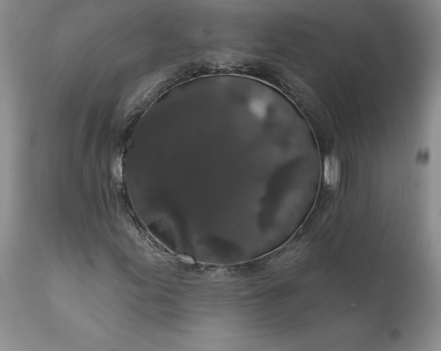 X0000111801155200907301202