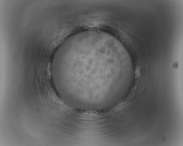 X0000111801156200907301202