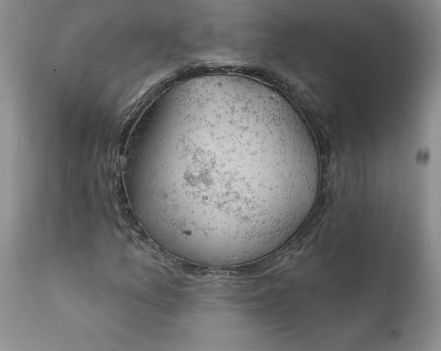 X0000111801157200907301202