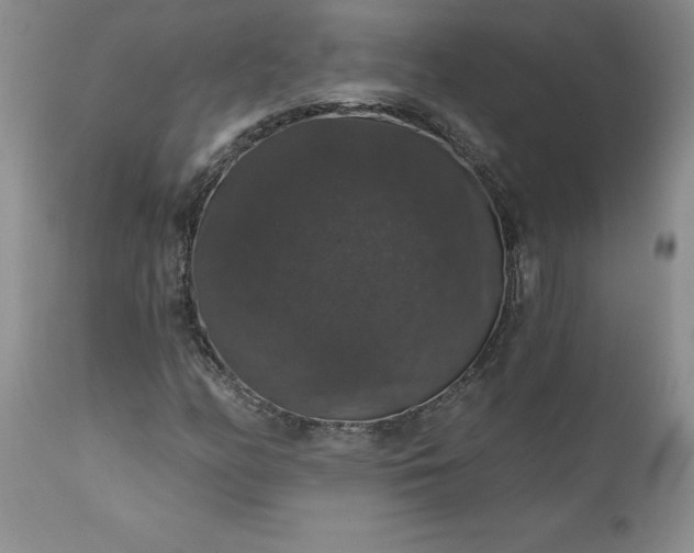 X0000111801158200907301202