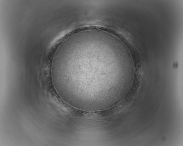 X0000111801159200907301202