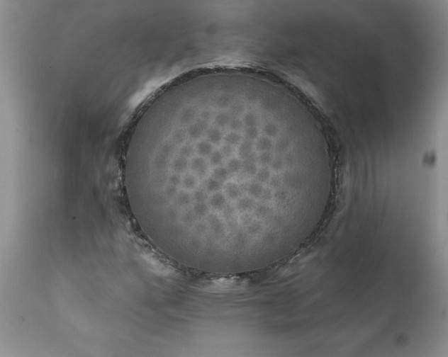 X0000111801160200907301202