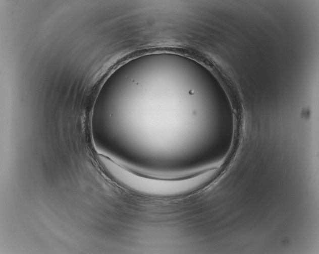 X0000111801161200907301202