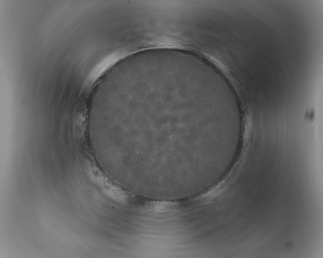 X0000111801163200907301202