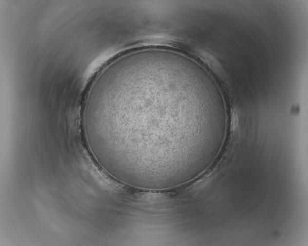 X0000111801164200907301202