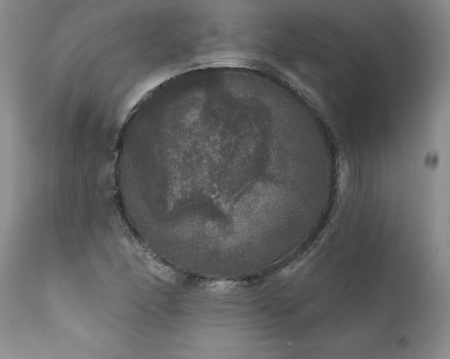 X0000111801166200907301202