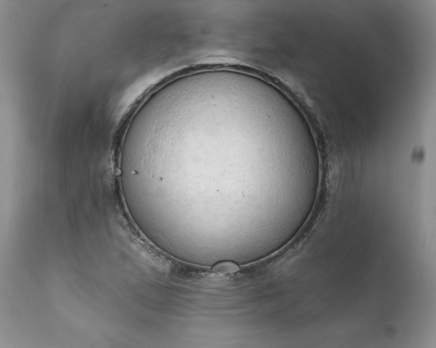 X0000111801167200907301202