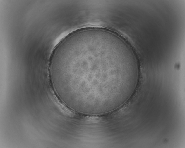 X0000111801168200907301202