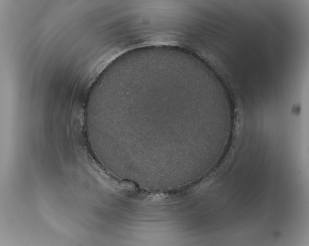X0000111801169200907301202