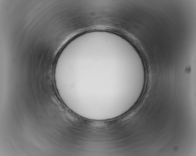 X0000111801170200907301202
