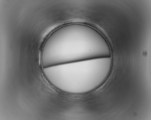 X0000111801171200907301202