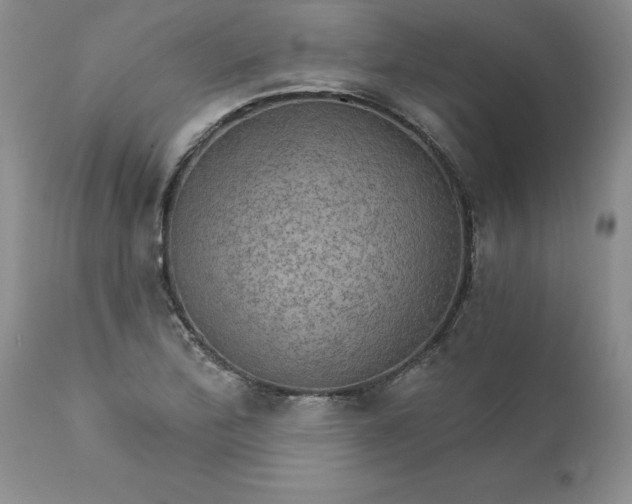 X0000111801172200907301202