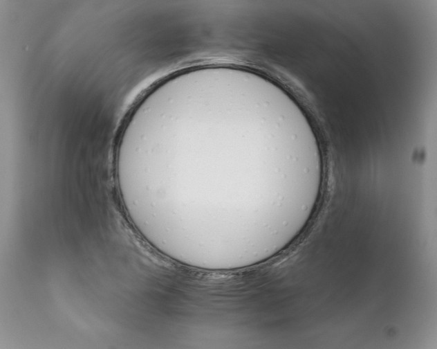 X0000111801174200907301202