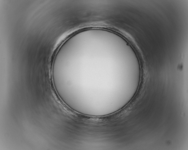 X0000111801176200907301202