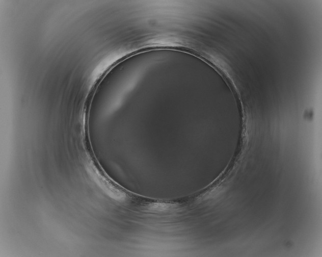 X0000111801179200907301202