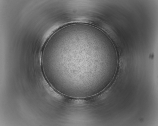 X0000111801180200907301202
