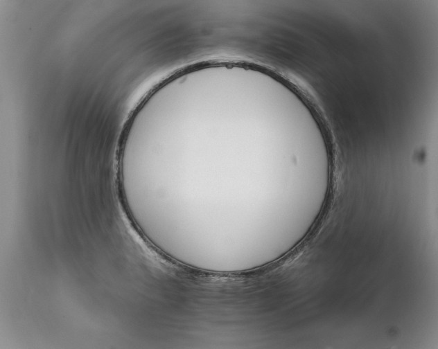 X0000111801183200907301202