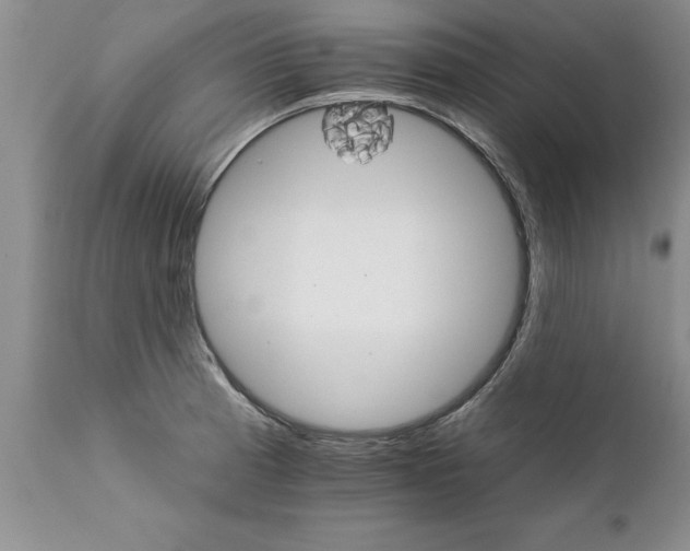 X0000111801185200907301202