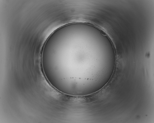 X0000111801187200907301202