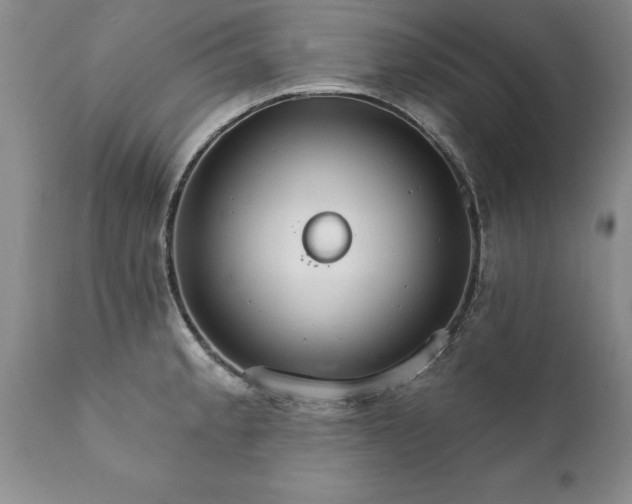 X0000111801189200907301202