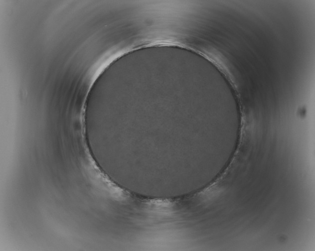 X0000111801190200907301202