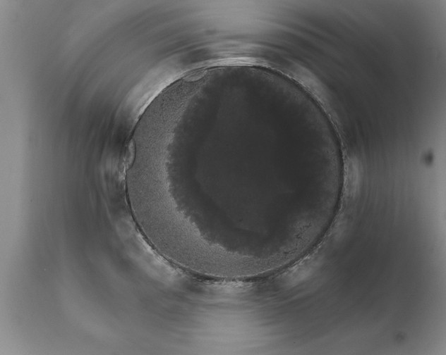 X0000111801193200907301202