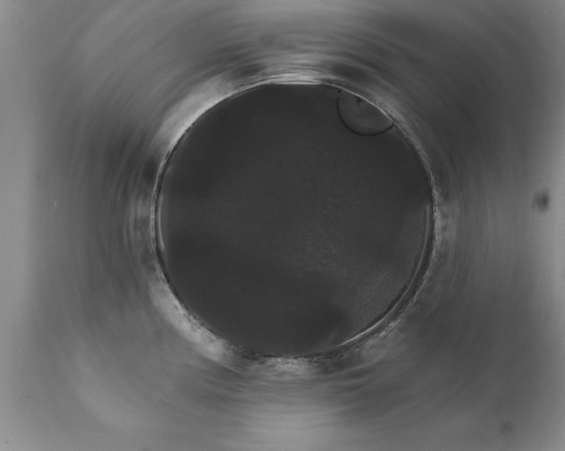X0000111801194200907301202