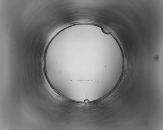 X0000111801195200907301202