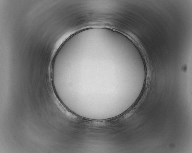 X0000111801196200907301202