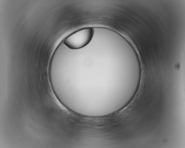 X0000111801197200907301202