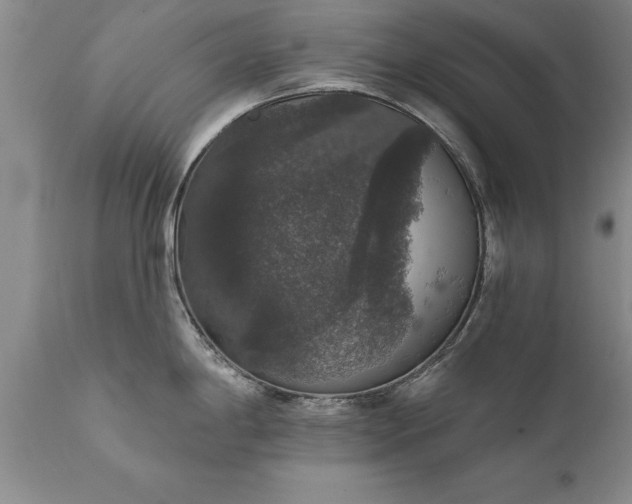 X0000111801198200907301202