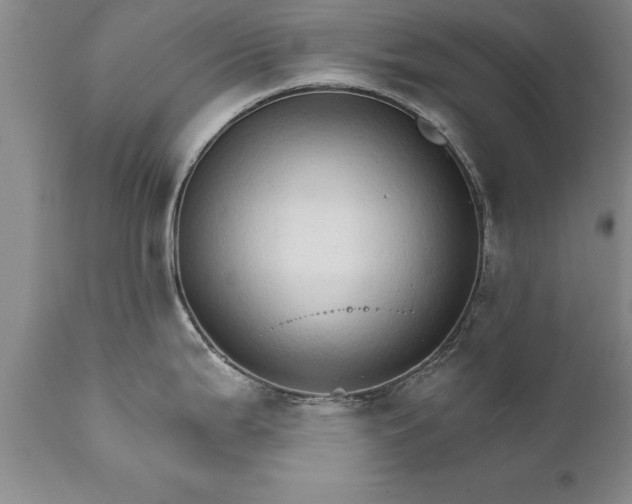 X0000111801199200907301202