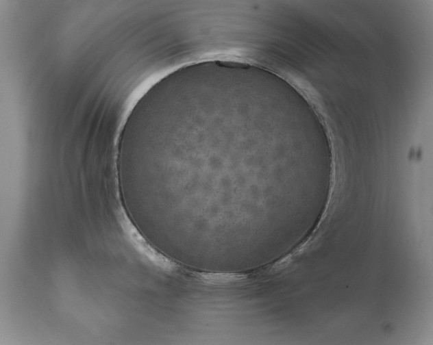 X0000111801200200907301202