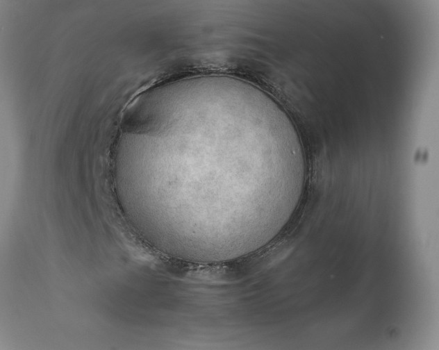 X0000111801201200907301201