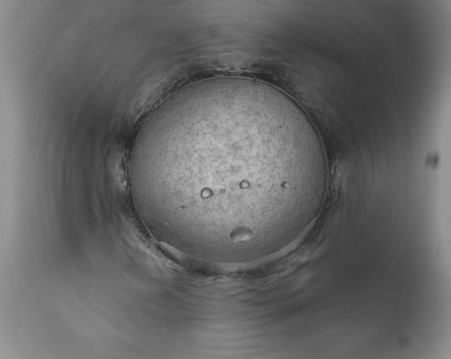 X0000111801202200907301201