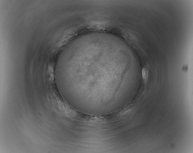 X0000111801203200907301201