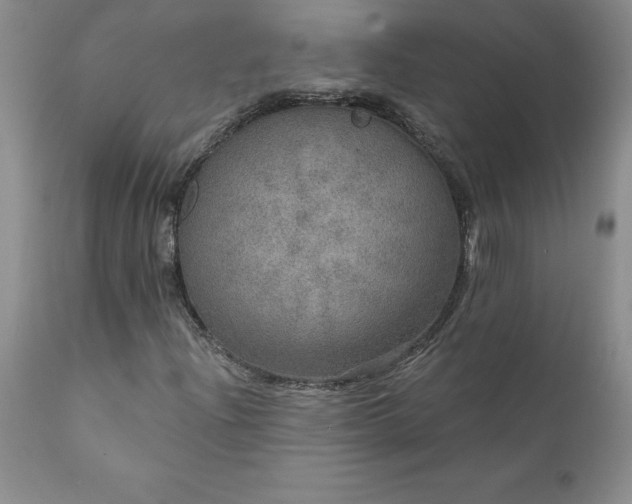 X0000111801204200907301201