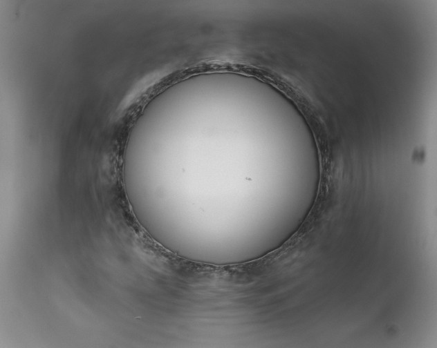 X0000111801207200907301201